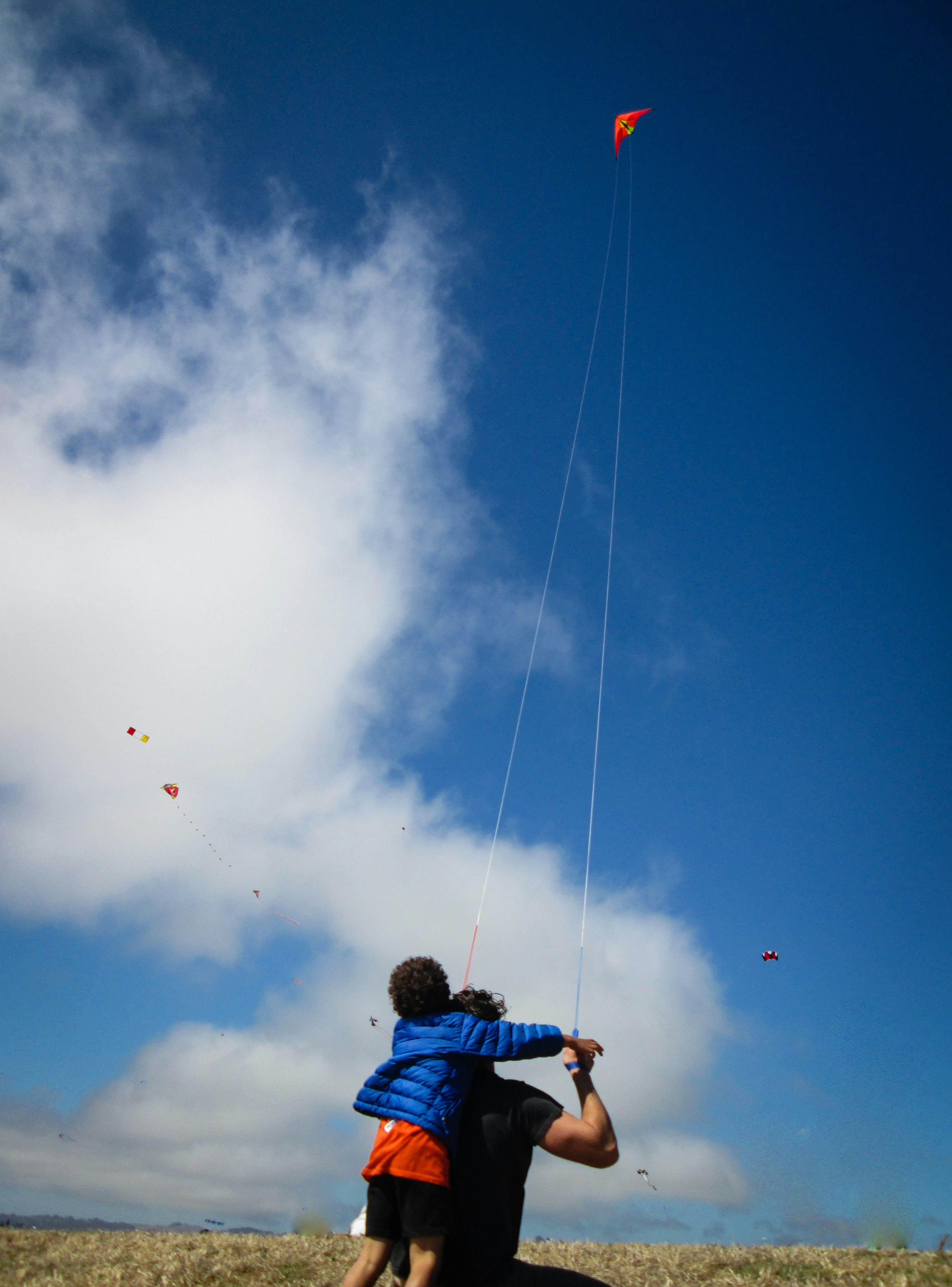 Parent And Child Playing With A Kite